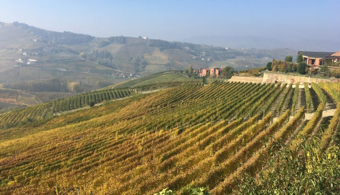 langhe2